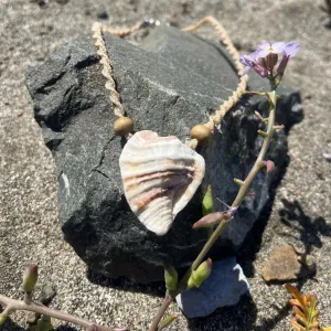 Beige Shell Necklace