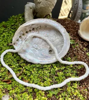 Puka Shell Choker