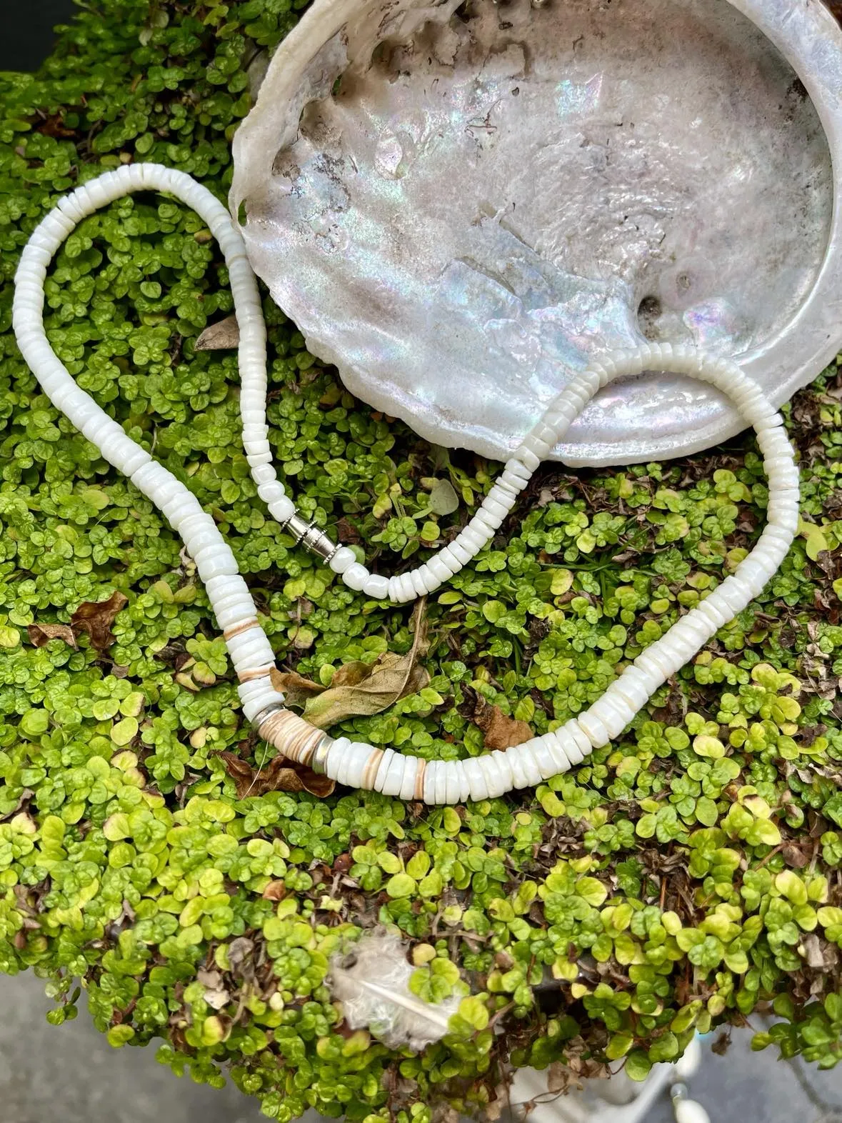 Puka Shell Choker