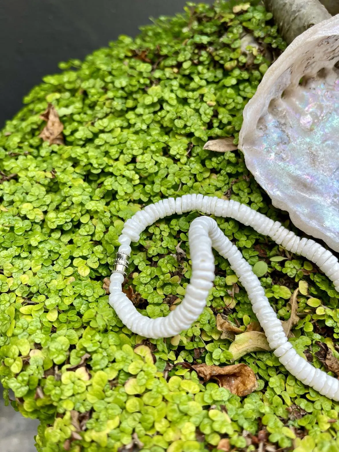 Puka Shell Choker