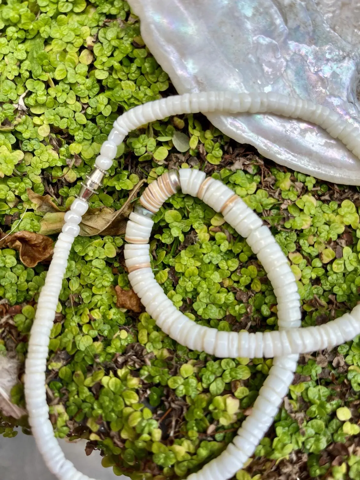 Puka Shell Choker
