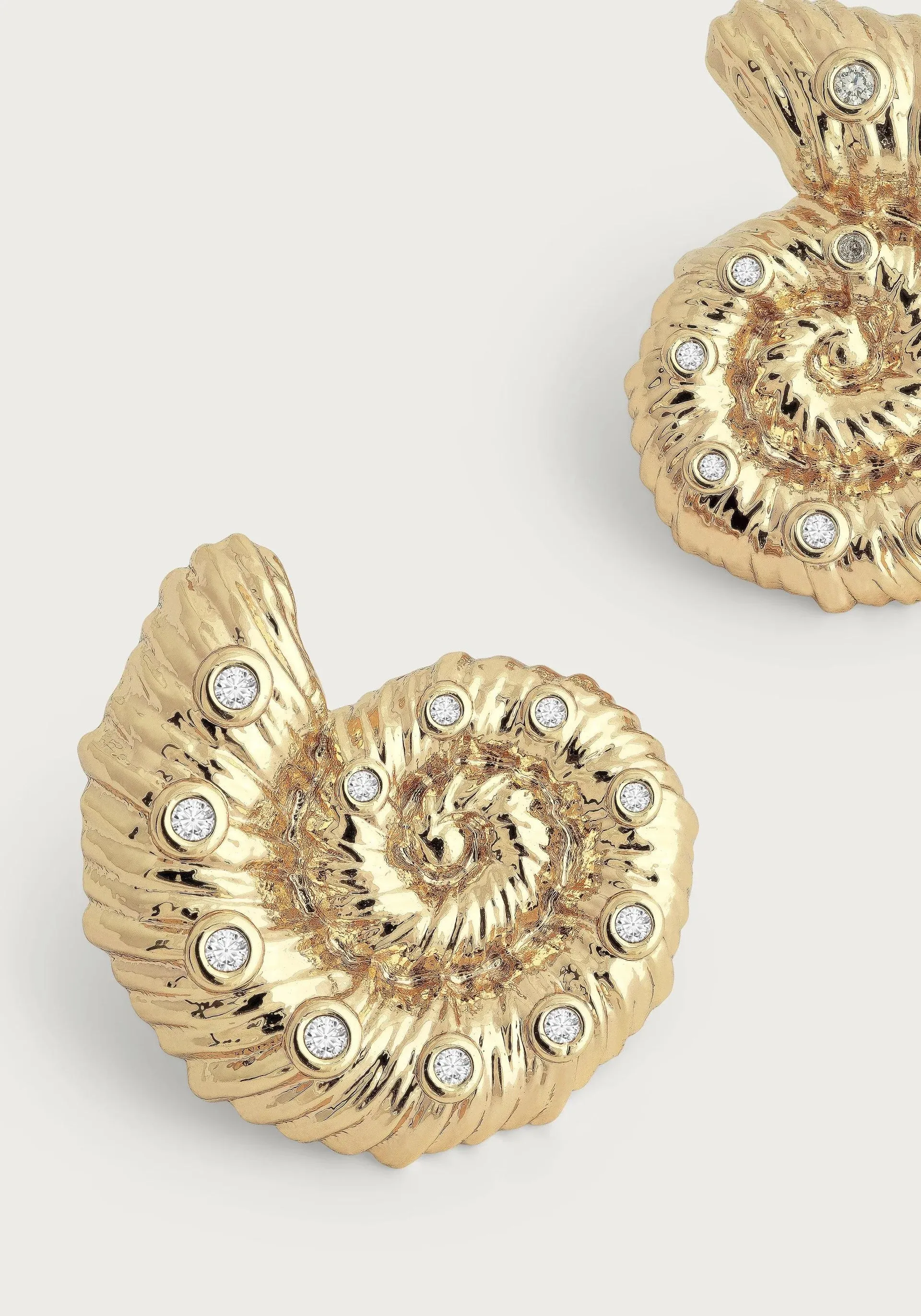 Shell Stud Earrings