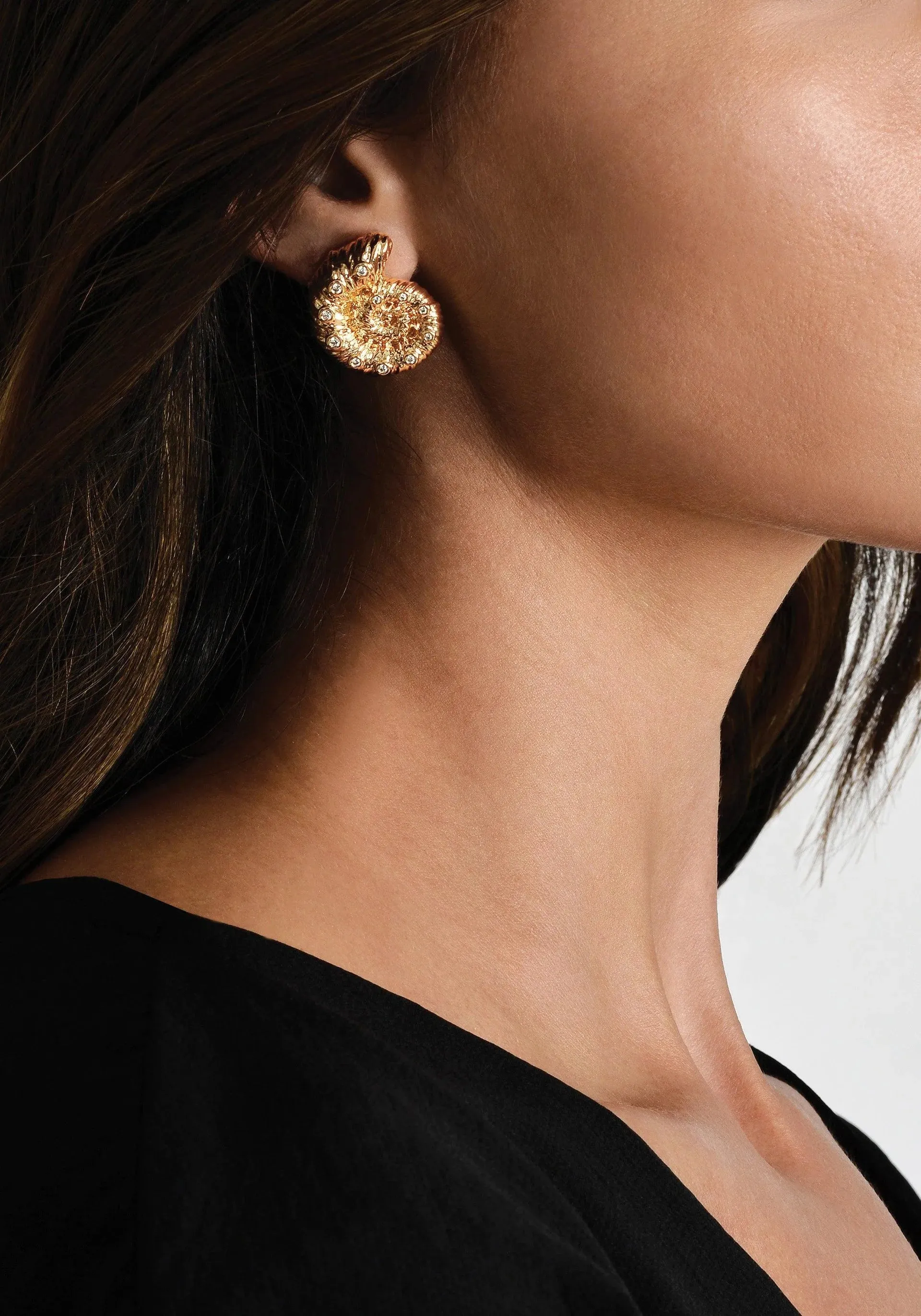 Shell Stud Earrings