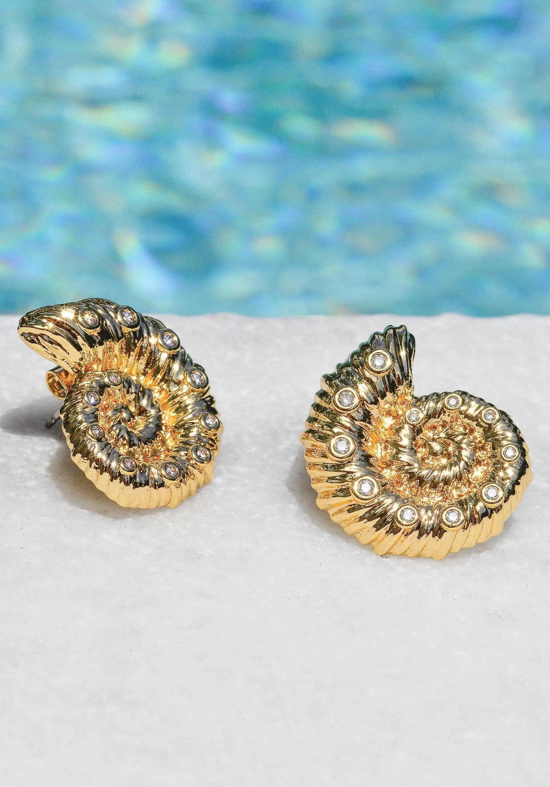 Shell Stud Earrings